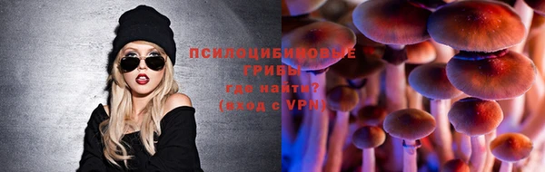 ALPHA-PVP Коряжма