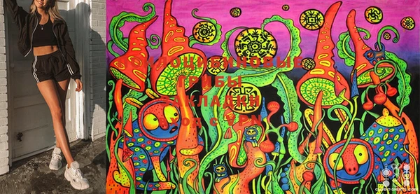 героин Корсаков