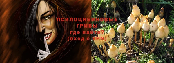 спайс Костерёво