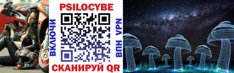 Купить где  Ртищево  Галлюциногенные грибы MAGIC MUSHROOMS 